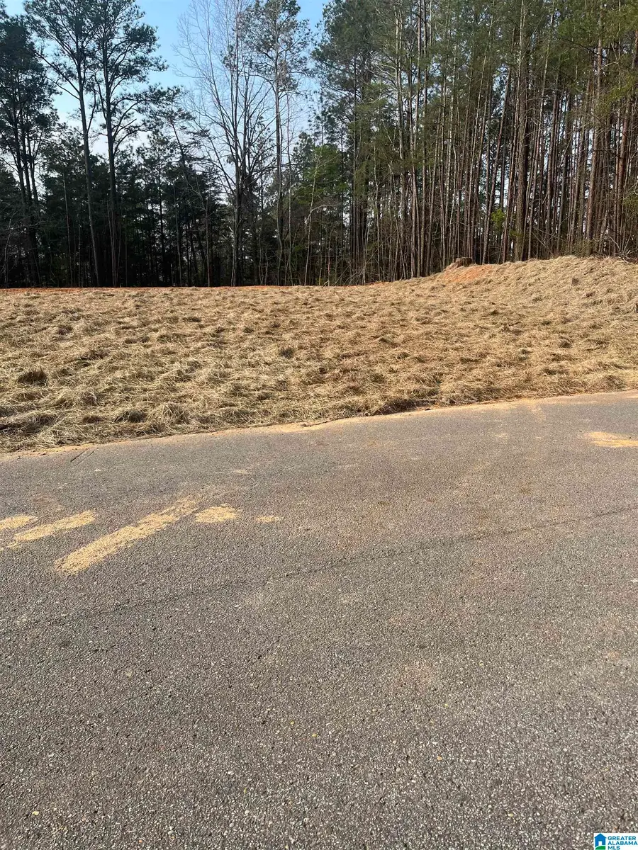 20233 MARK DRIVE, McCalla, AL 35111 - #2