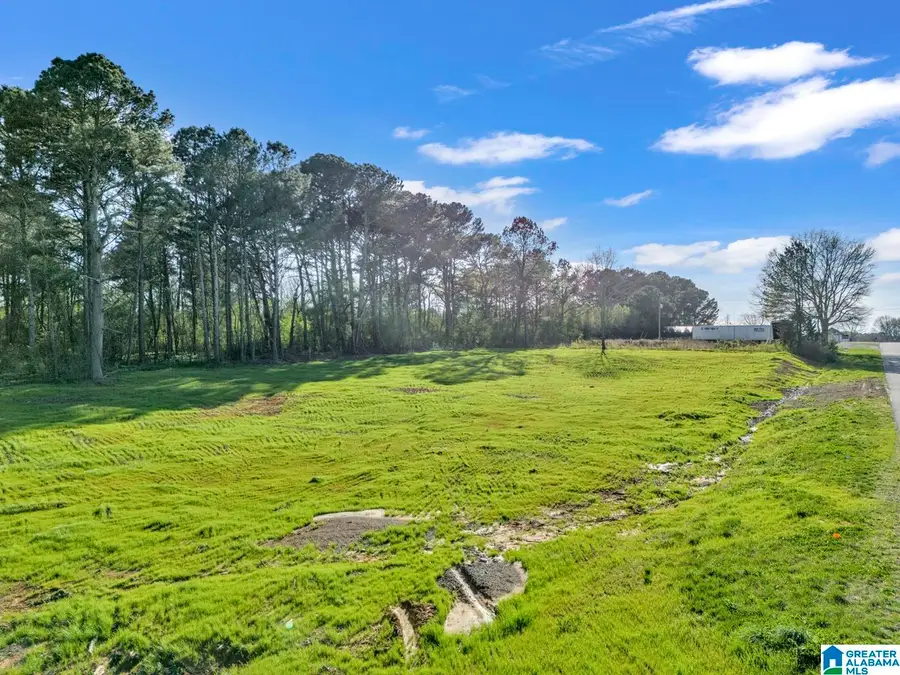 0 ELLSWORTH DRIVE, Cullman, AL 35055 - #2