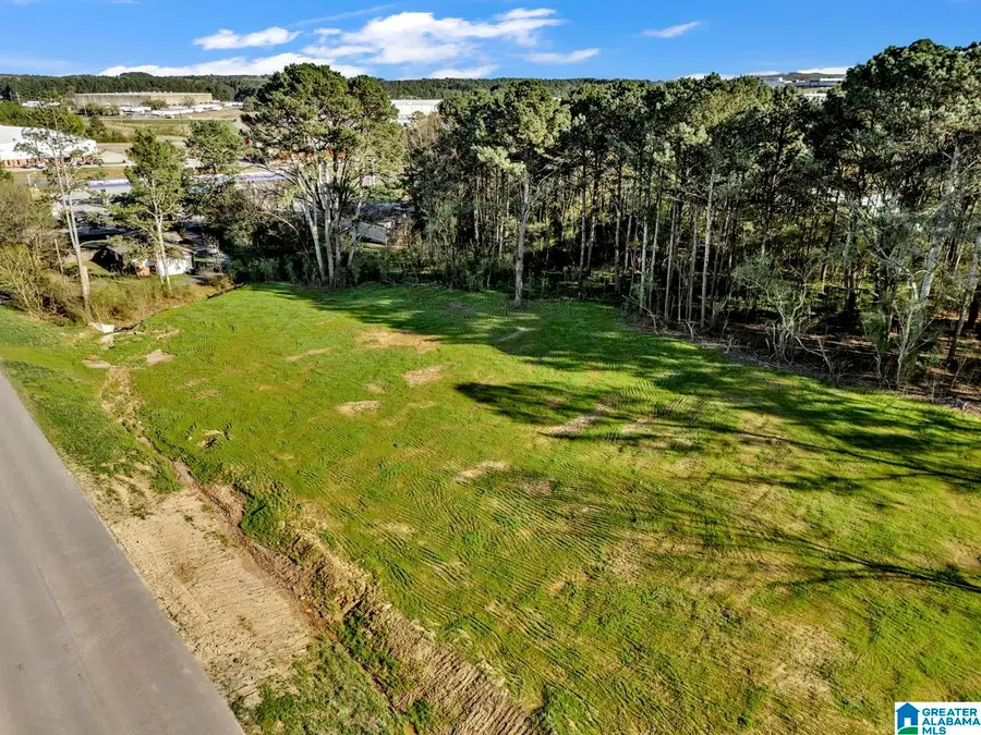 0 ELLSWORTH DRIVE, Cullman, AL 35055 - #3