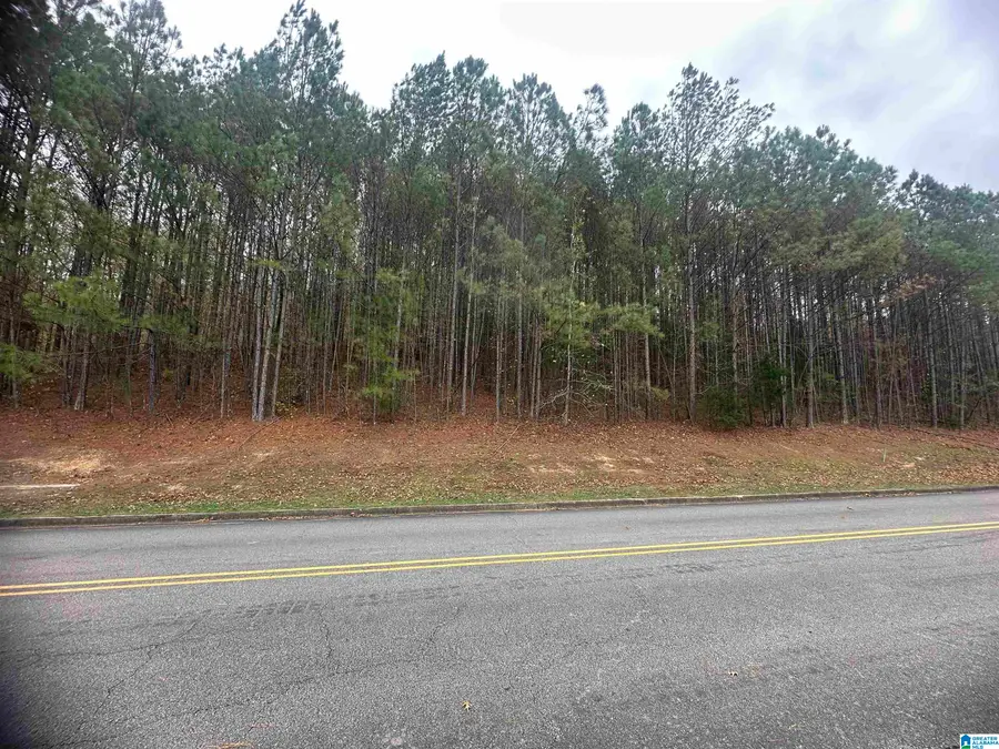 1166 SAINT ANDREWS PARKWAY, Oneonta, AL 35121 - #2