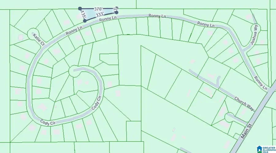 0 RONNY LANE, Springville, AL 35146 - #3