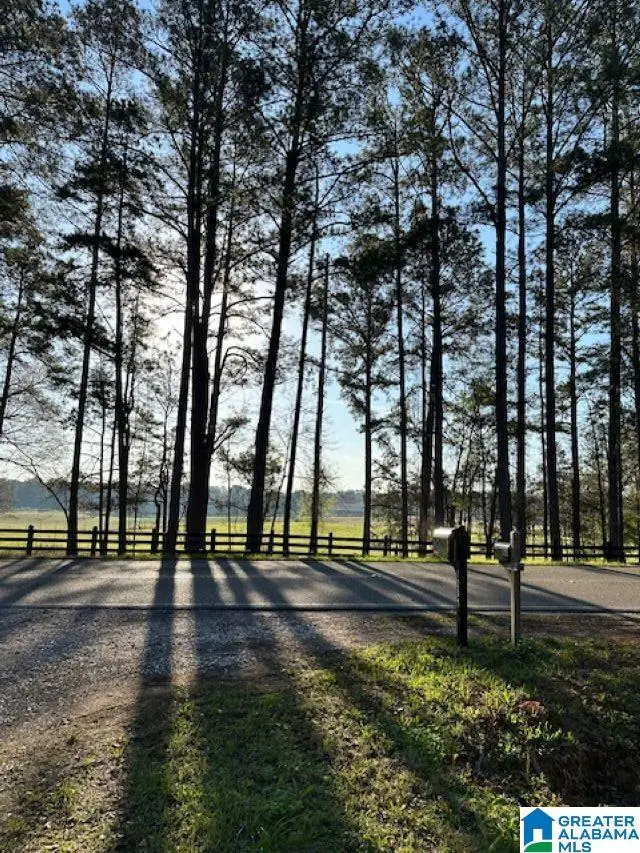 1129 HIGHWAY 467, Vincent, AL 35178 - #1