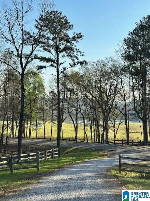 1129 HIGHWAY 467, Vincent, AL 35178 - #2