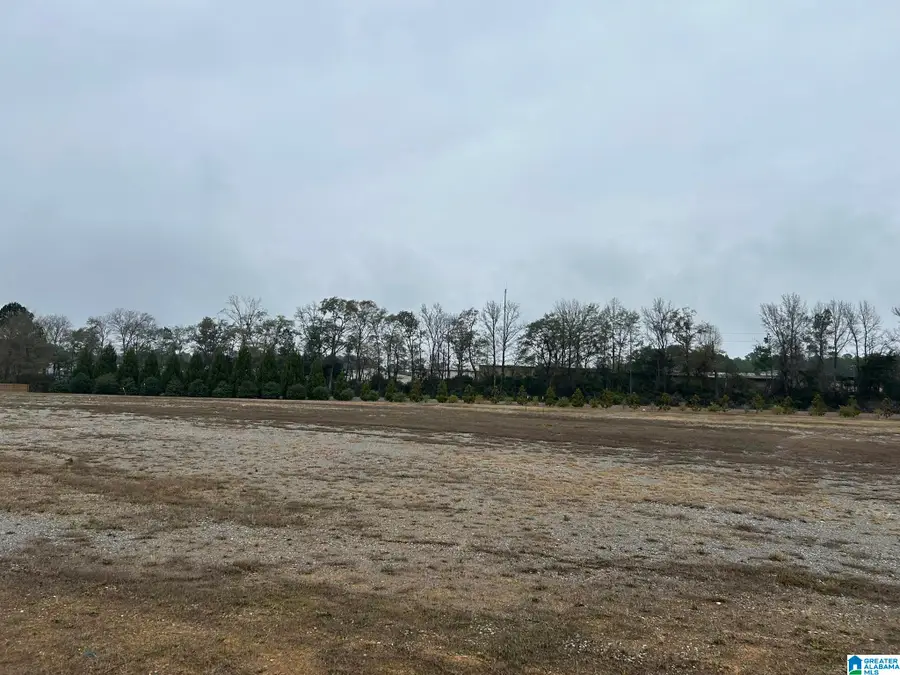 400 W COLLEGE STREET, Columbiana, AL 35051 - #2