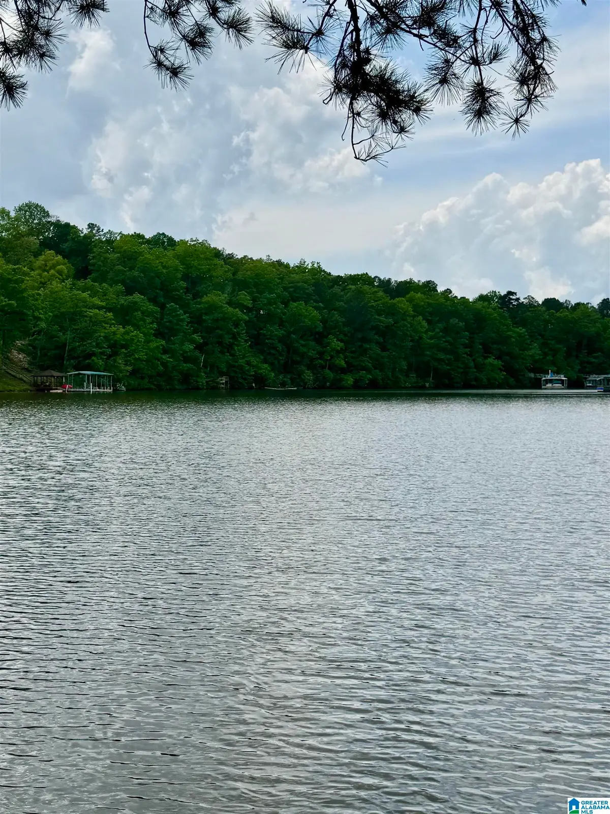 Lot 2 OLD HIGHWAY 431, Wedowee, AL 36278 - #1