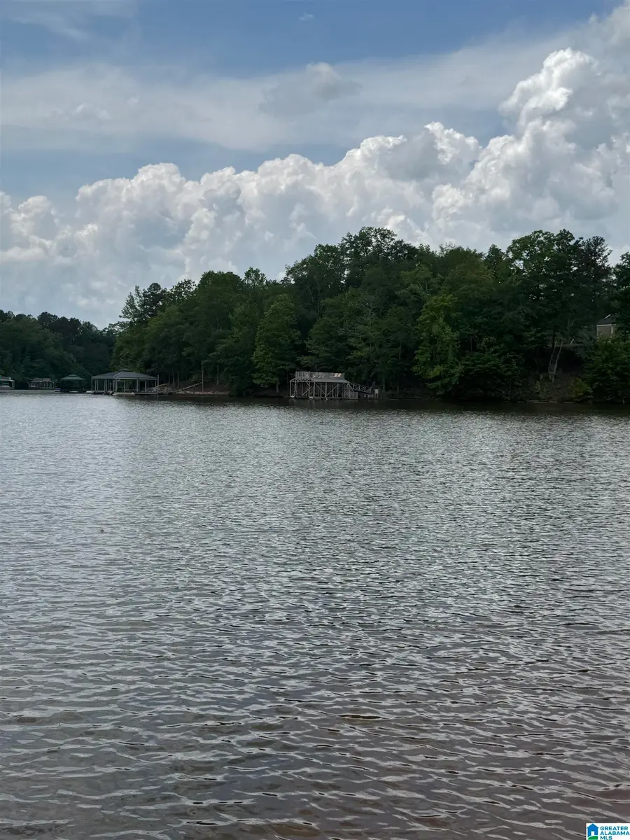 Lot 2 OLD HIGHWAY 431, Wedowee, AL 36278 - #2