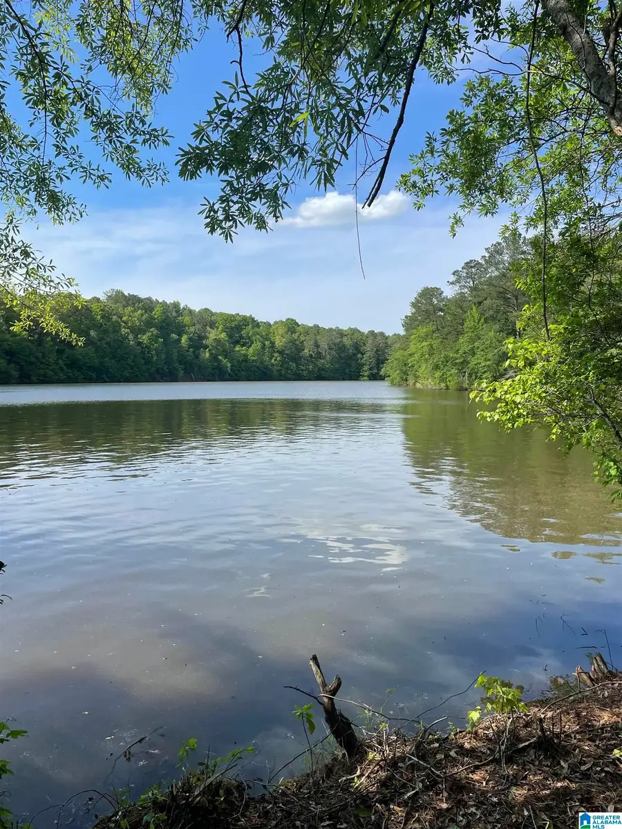 Lot 2 OLD HIGHWAY 431, Wedowee, AL 36278 - #3