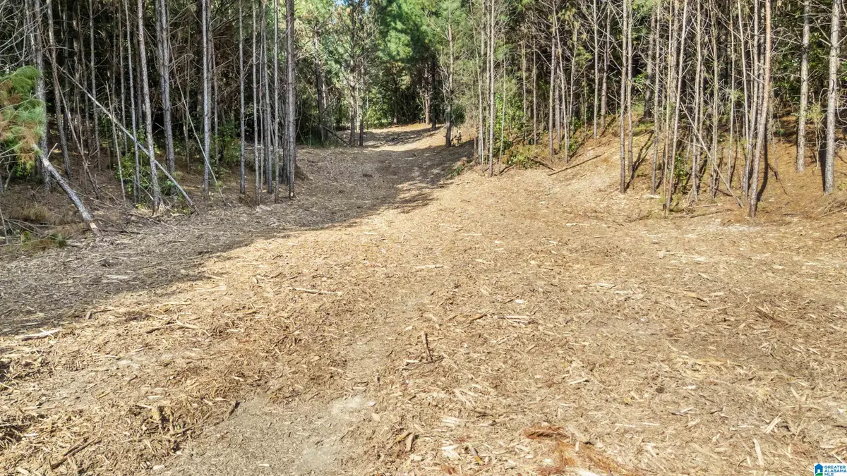 0 RED VALLEY ROAD, Remlap, AL 35133 - #1