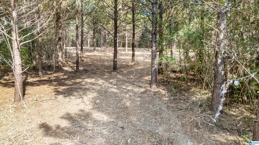 0 RED VALLEY ROAD, Remlap, AL 35133 - #2