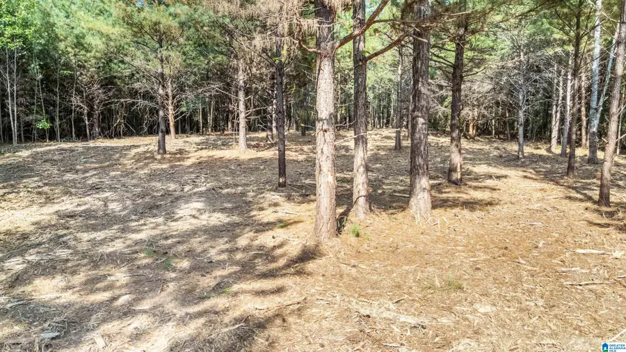 0 RED VALLEY ROAD, Remlap, AL 35133 - #3