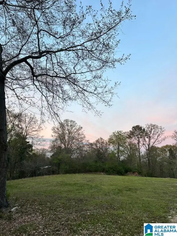 91 HIGHWAY 453, Chelsea, AL 35043