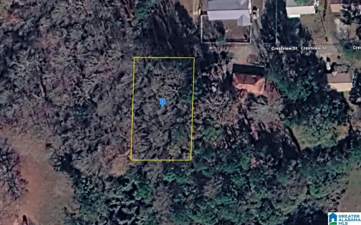 241 CRESTVIEW STREET, Dadeville, AL 36853 - #1