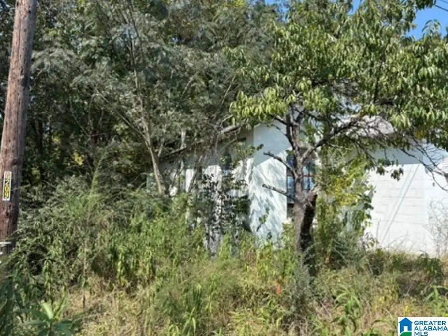 64 3RD STREET, Graysville, AL 35073 - #3