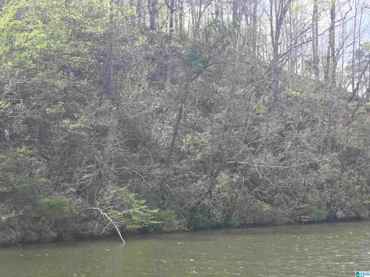 Lot 1 EAGLE MOUNTAIN ROAD, Rockford, AL 35136 - #1