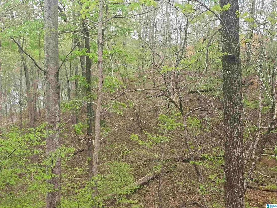 Lot 1 EAGLE MOUNTAIN ROAD, Rockford, AL 35136 - #2