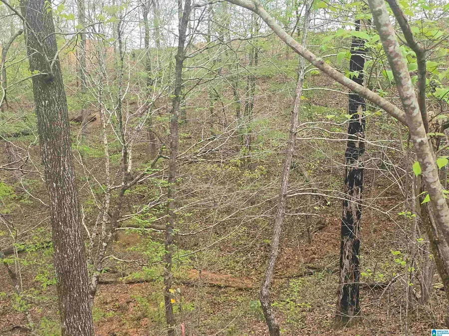 Lot 1 EAGLE MOUNTAIN ROAD, Rockford, AL 35136 - #3