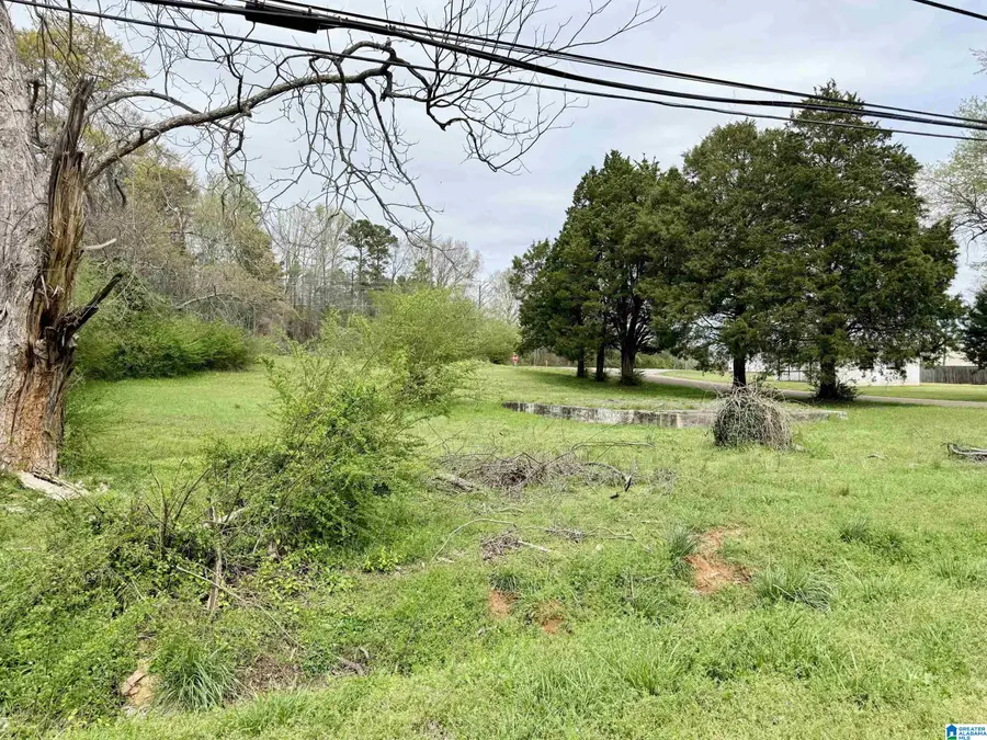 302 GADSDEN STREET, Piedmont, AL 36272 - #2