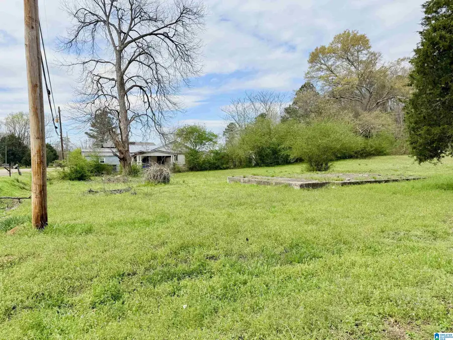 302 GADSDEN STREET, Piedmont, AL 36272 - #3