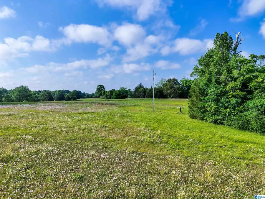 80 BRADY ROAD, Hope Hull, AL 36043 - #2