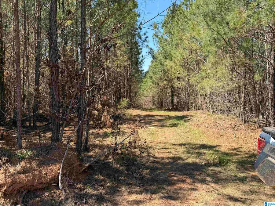 0 COUNTY ROAD 79, Wadley, AL 36276 - #3
