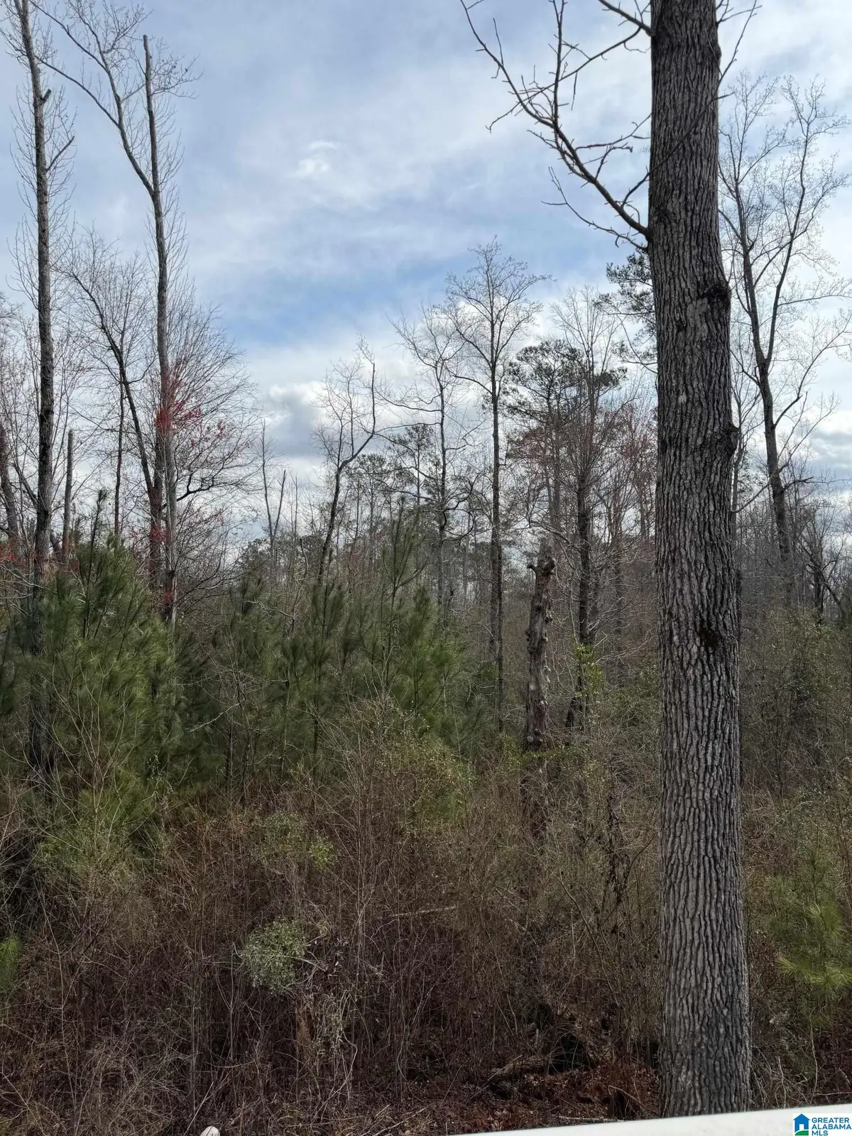 0 COUNTY ROAD 295, Smiths Station, AL 36877 - #1
