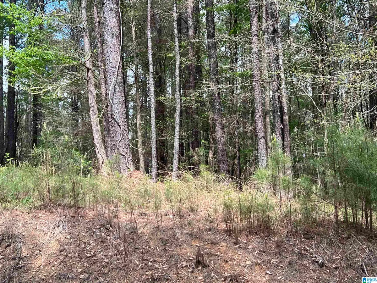 2472 SMITH SIMS ROAD, Trussville, AL 35173 - #1