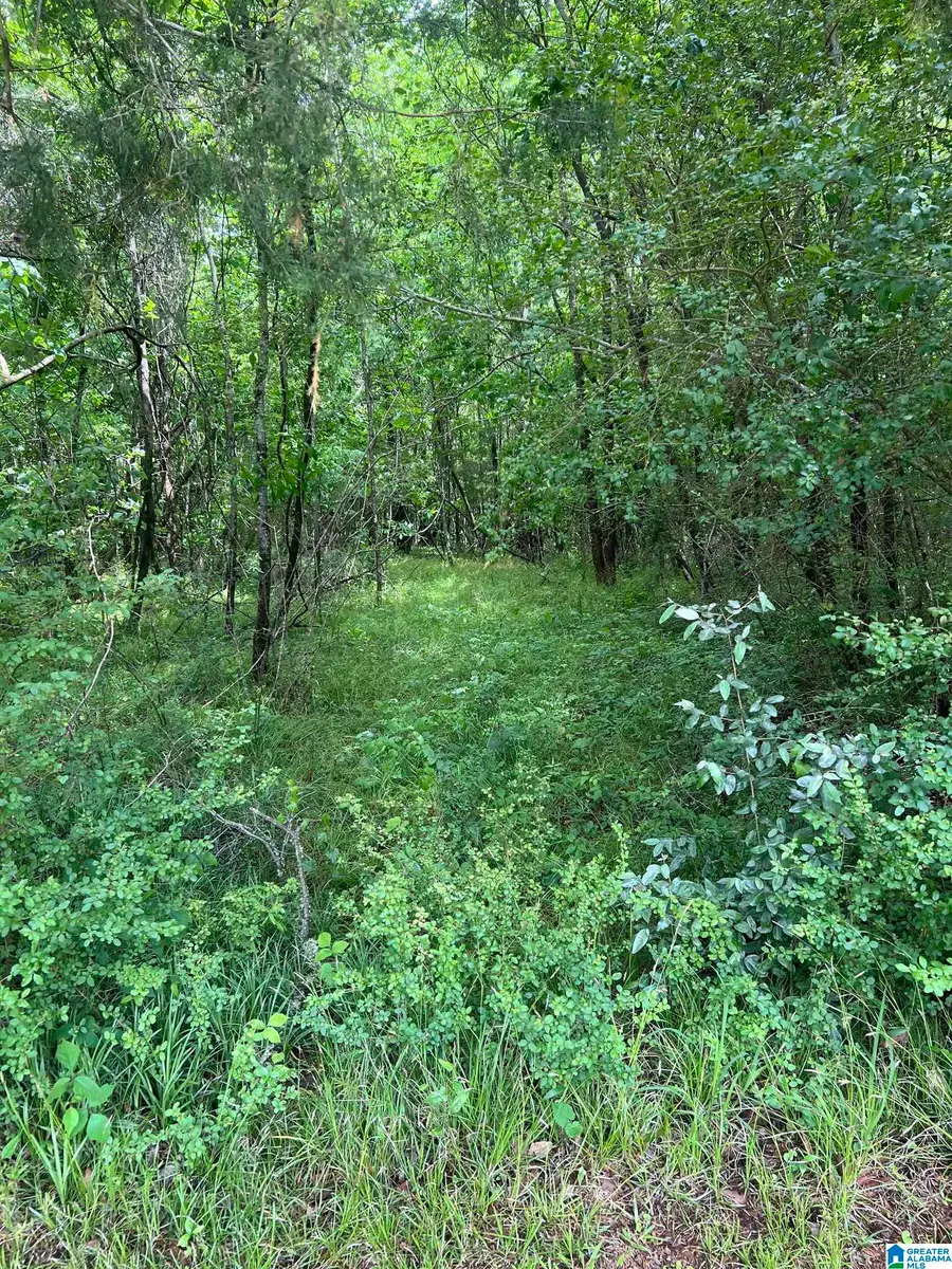0 HIDDEN CREEK LANE, Montevallo, AL 35115 - #2