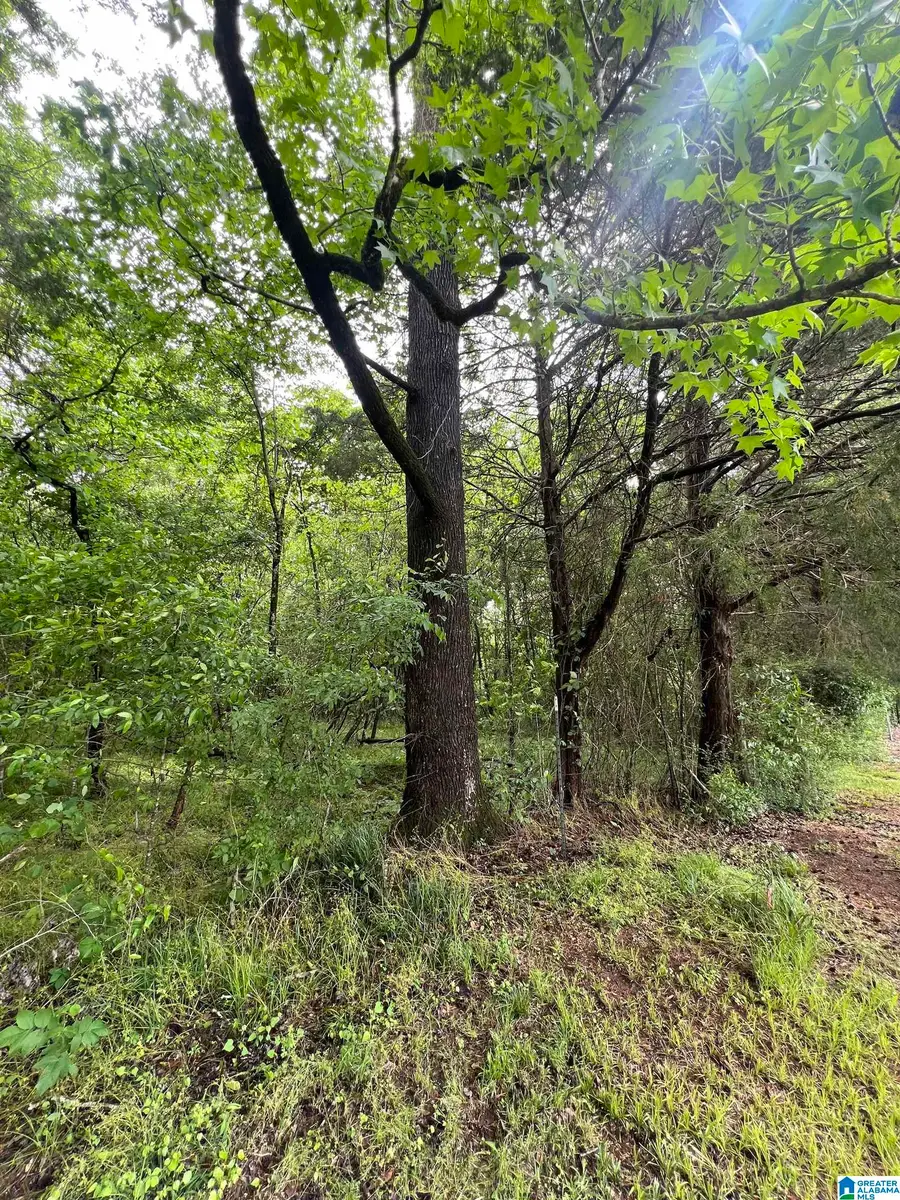 0 HIDDEN CREEK LANE, Montevallo, AL 35115 - #3