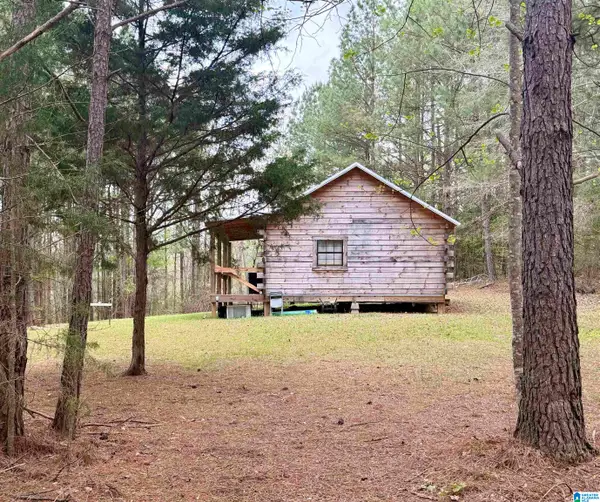 0 COUNTY ROAD 819, Wadley, AL 36276