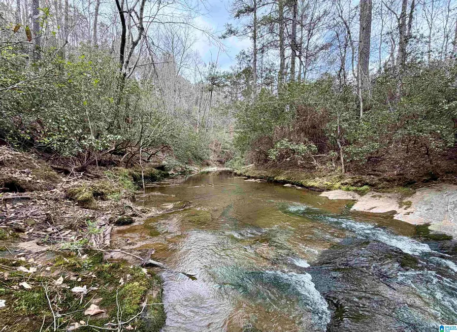 0 COUNTY ROAD 819, Wadley, AL 36276 - #2