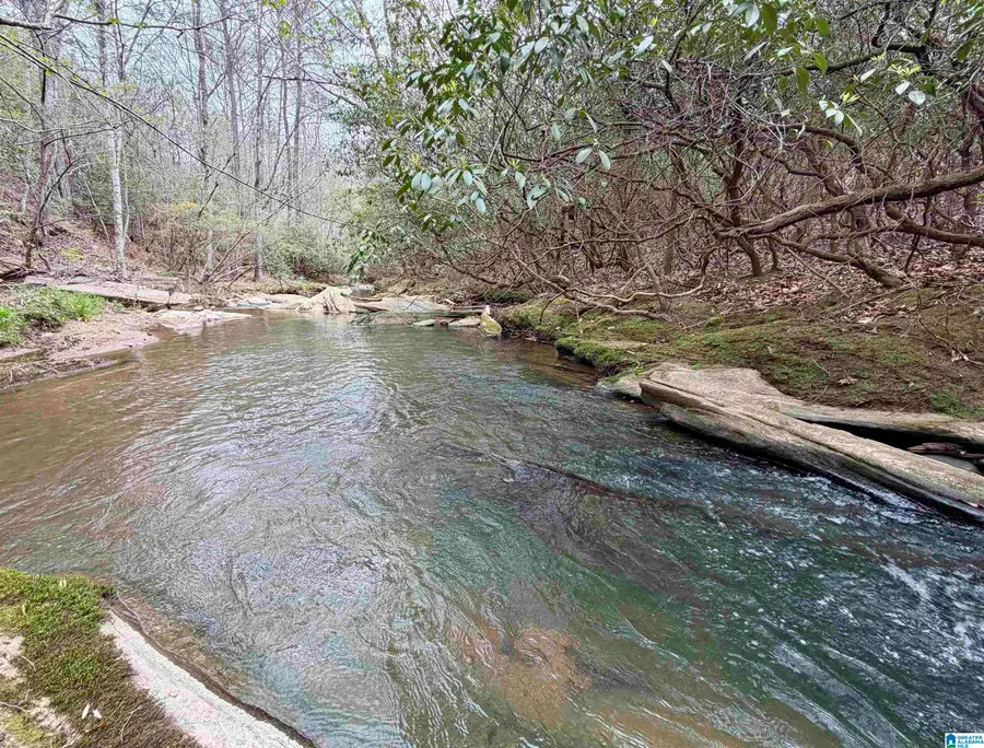 0 COUNTY ROAD 819, Wadley, AL 36276 - #3