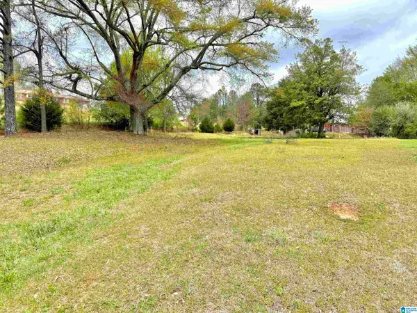 MITCHELL LANE, Ashland, AL 36251