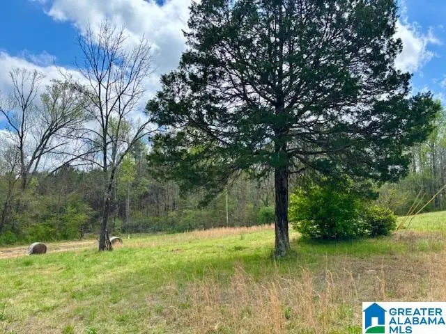 931 COUNTY ROAD 831, Cullman, AL 35057 - #2