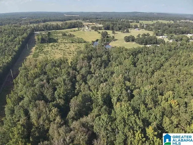 0 NEW HARMONY ROAD, Clanton, AL 35045 - #2