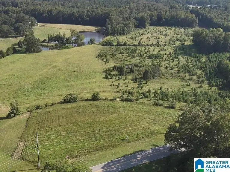 0 NEW HARMONY ROAD, Clanton, AL 35045 - #3