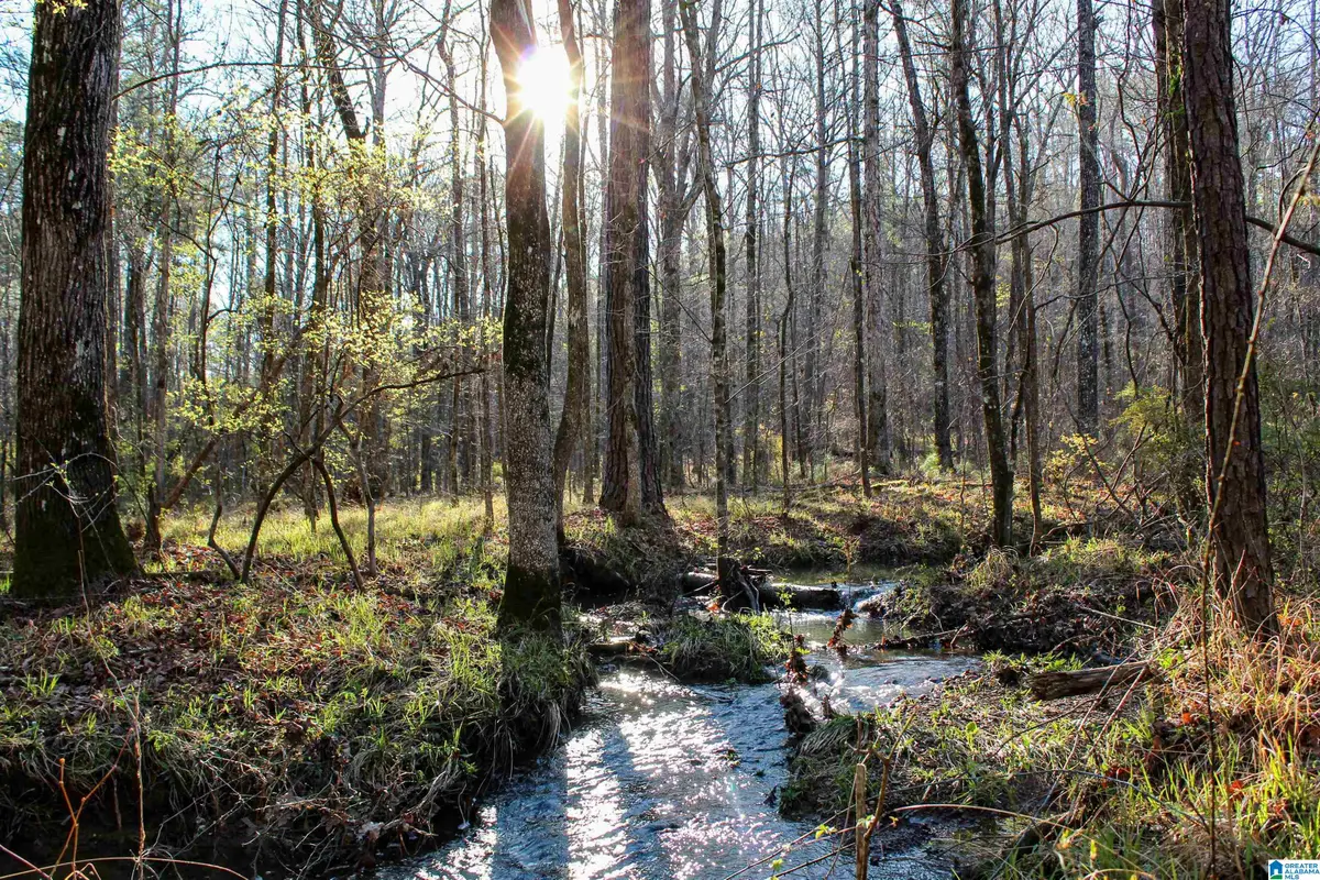 0 INDIAN GAP TRAIL, McCalla, AL 35111 - #1