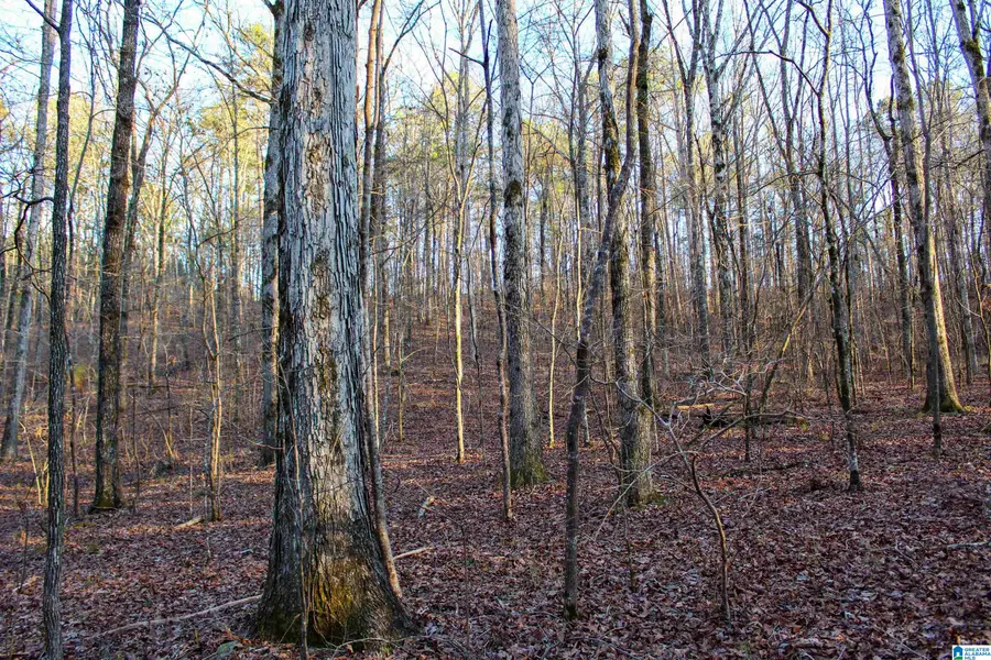 0 INDIAN GAP TRAIL, McCalla, AL 35111 - #2