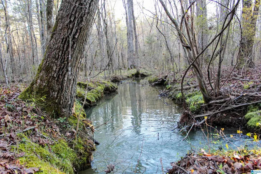 0 INDIAN GAP TRAIL, McCalla, AL 35111 - #3