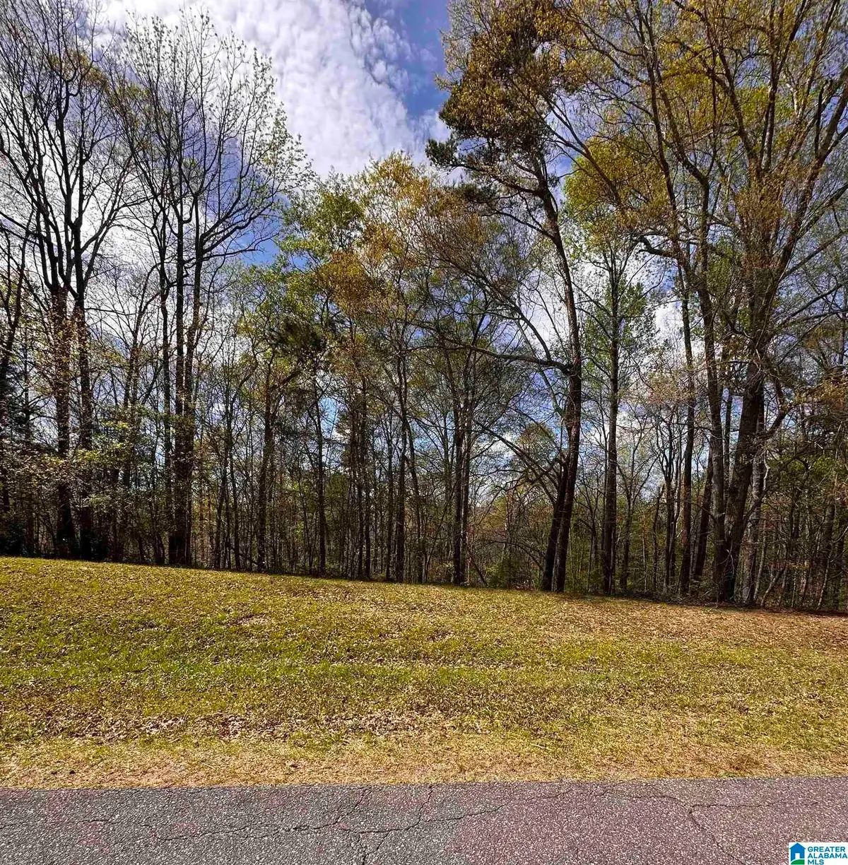 lot 12 WRIGHT WAY DRIVE, Wedowee, AL 36278 - #1