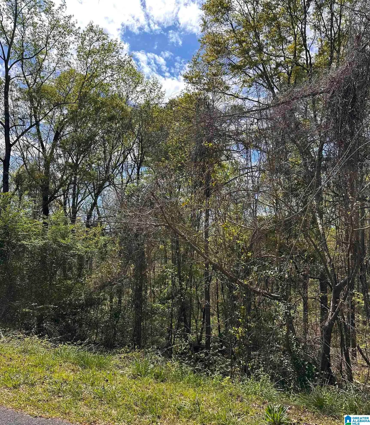 Lot 11 WRIGHT WAY DRIVE, Wedowee, AL 36278 - #1