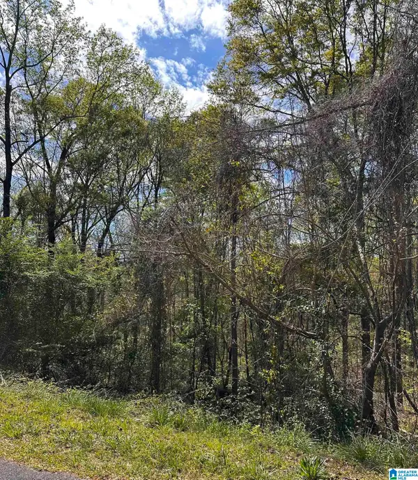 Lot 11 WRIGHT WAY DRIVE, Wedowee, AL 36278