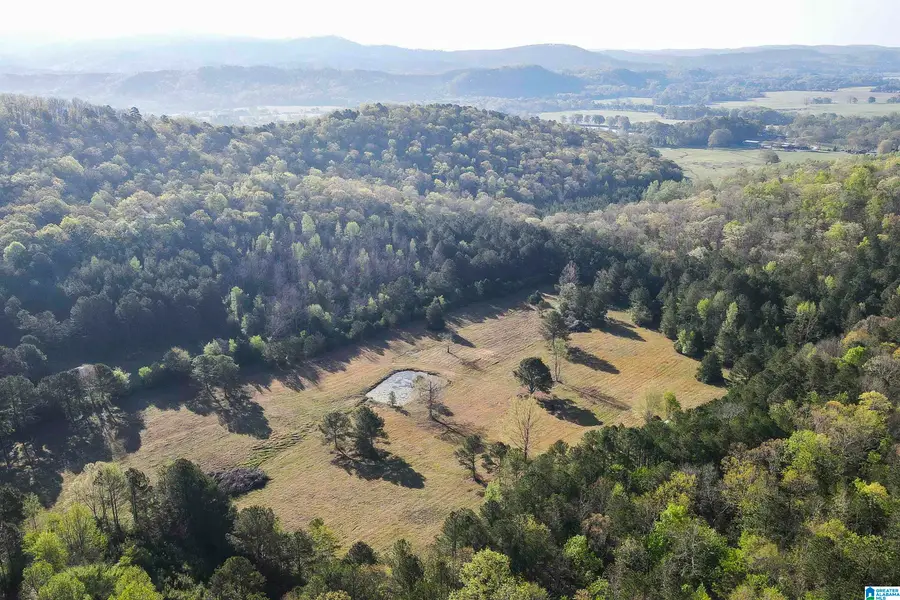 0 STONERIDGE TRAIL S, Anniston, AL 36207 - #2