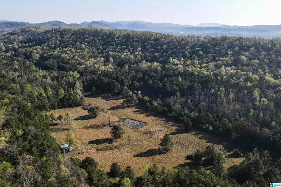 0 STONERIDGE TRAIL S, Anniston, AL 36207 - #3