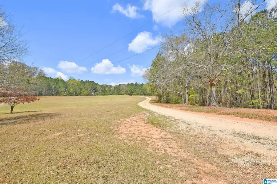 871 COUNTY ROAD 75, Roanoke, AL 36274 - #2