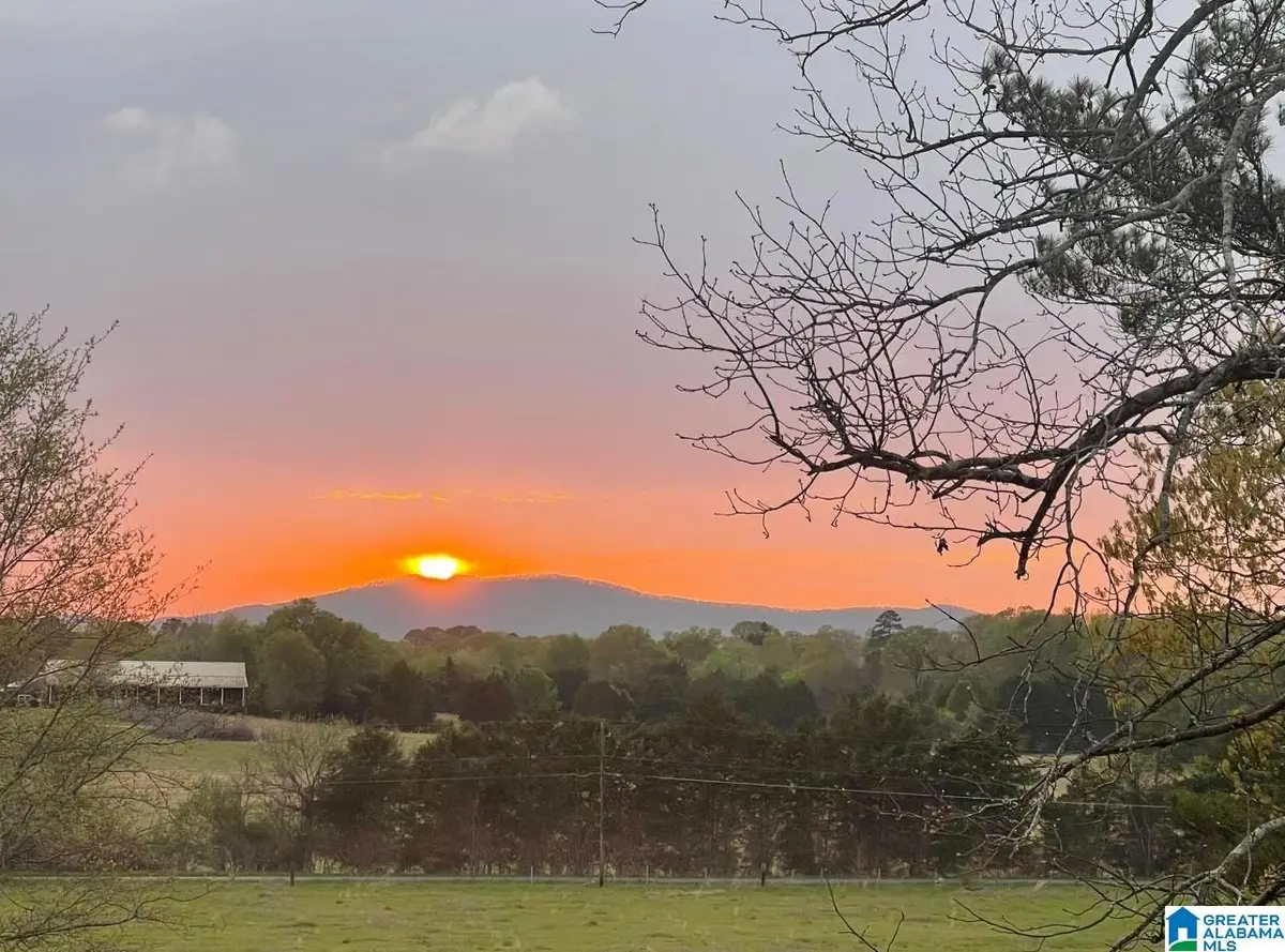 314 TALLADEGA CREEK ROAD, Talladega, AL 35160 - #1