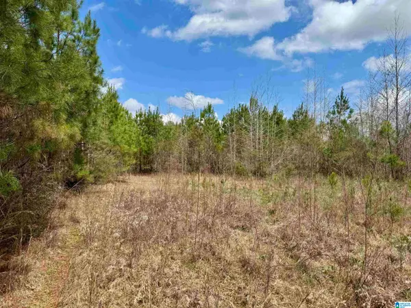 SCROGGINS DRIVE, Tallassee, AL 36078