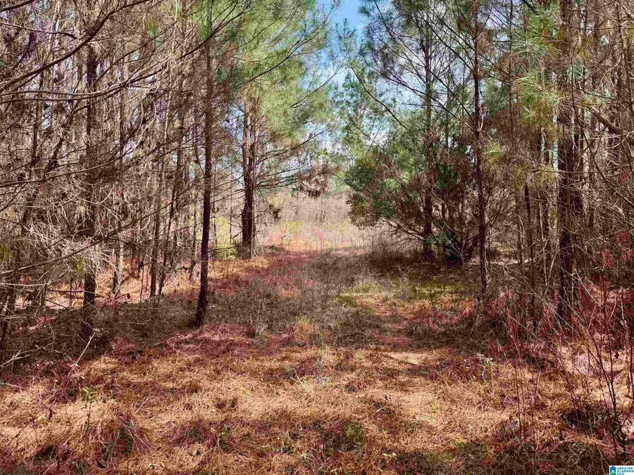 SCROGGINS DRIVE, Tallassee, AL 36078 - #2