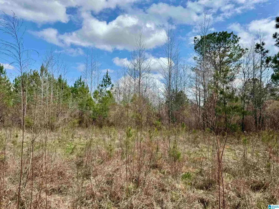 SCROGGINS DRIVE, Tallassee, AL 36078 - #3