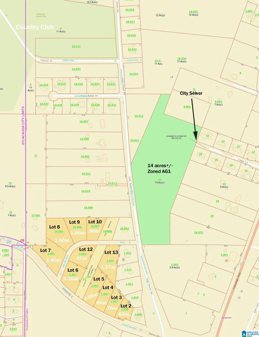 1 CLUB HOUSE ROAD, Sylacauga, AL 35150 - #3