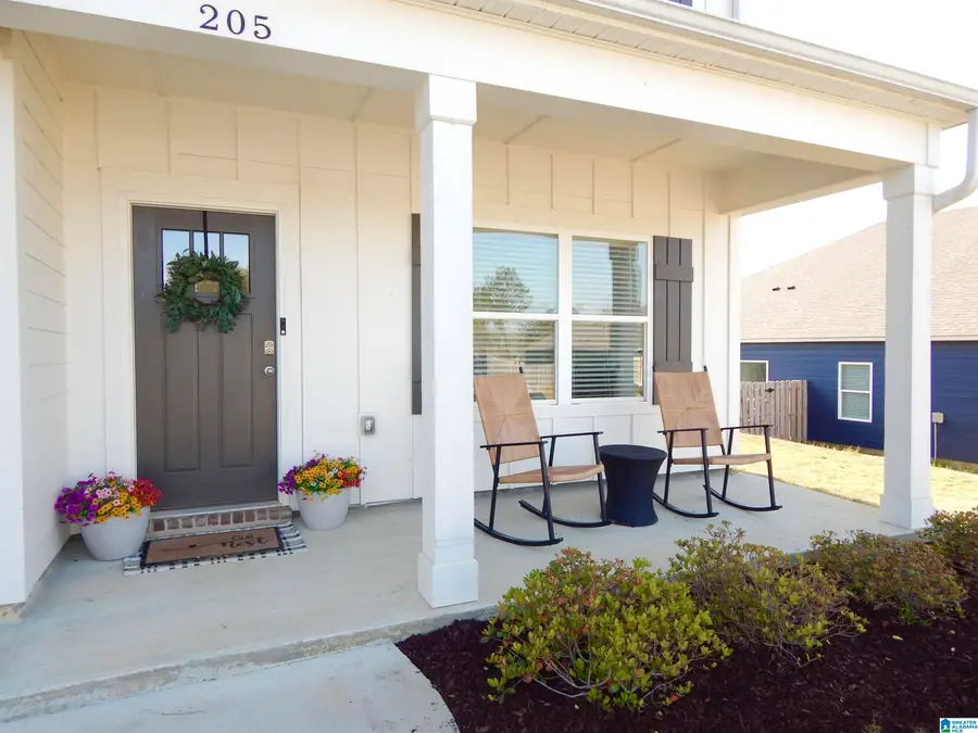 205 ARLINGTON LOOP, Chelsea, AL 35043 - #2